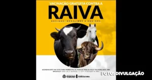 Vacinação Gratuita Contra a Raiva para Bovinos, Bubalinos e Equinos em Itaboraí