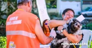 Belford Roxo - Campanha de vacina antirrábica imuniza mais de 500 cães e gatos