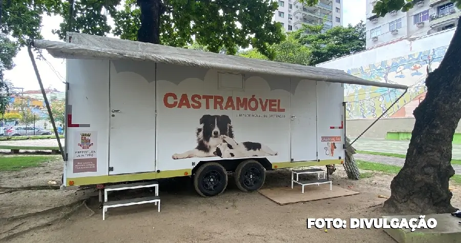 Castramóvel da Prefeitura de Niterói abre vagas para cães e gatos do Cantagalo
