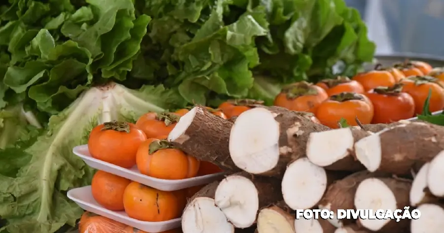 Feira de Agricultura Familiar acontece neste sábado (22/06) em Itaipuaçu