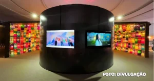 MAC Niterói Bate Recorde de Público com Exposição de Lanternas