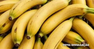 No dia da banana, confira os benefícios do alimento para a saúde