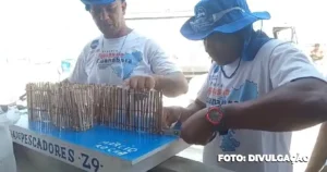 Projeto Águas da Guanabara Resgata a Pesca em Curral com Apoio de Pescadores Artesanais