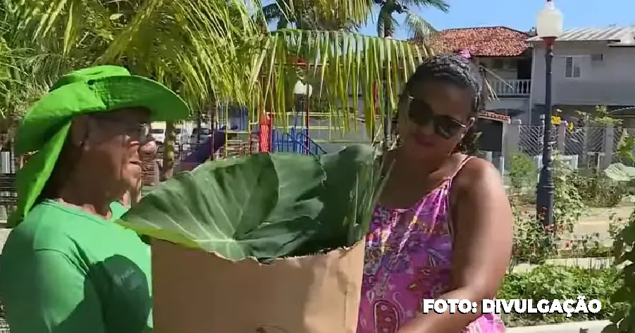 Jardins comestíveis de Maricá promovem segurança alimentar e são destaque