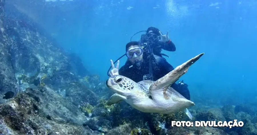 O verão em Arraial do Cabo: Capital Nacional do Mergulho